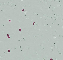 Линолеум Forbo Sphera Energetic 51229 vivid morning dew фото 1 | FLOORDEALER